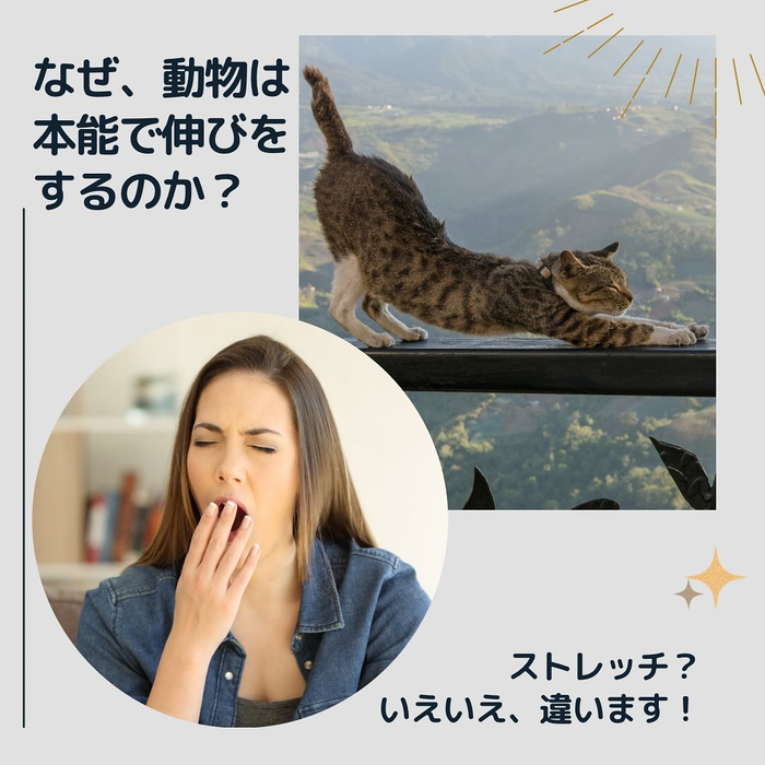 画像744