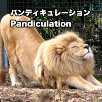 画像745