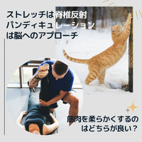 画像768
