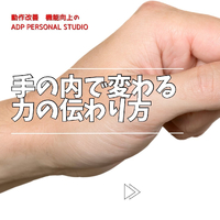 画像790