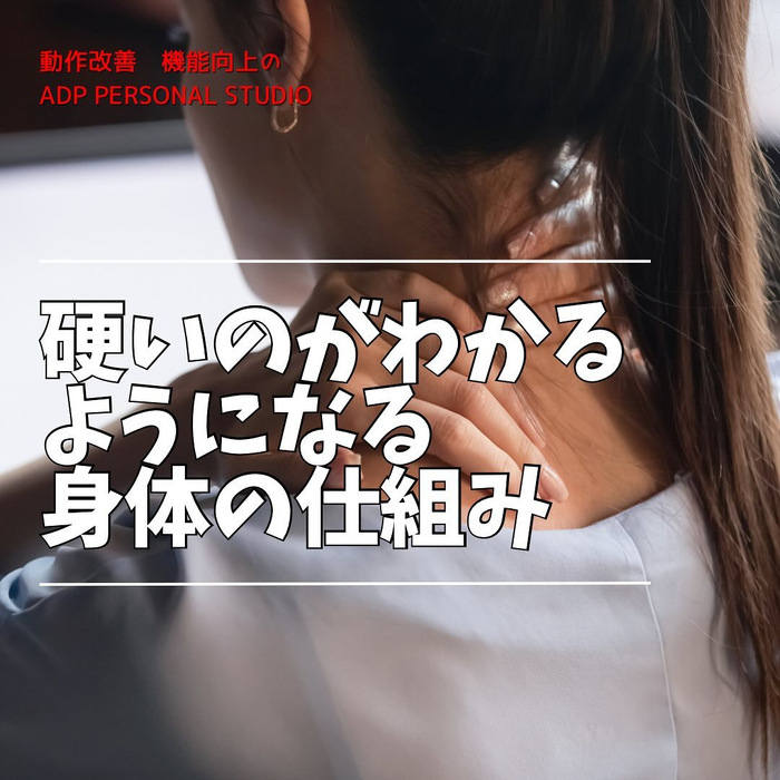 画像808