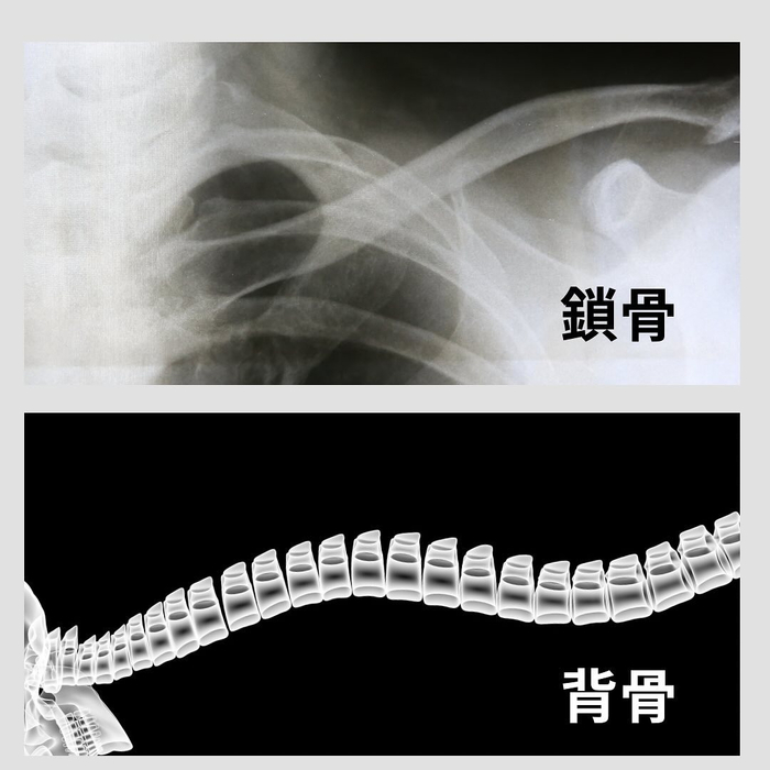 画像827