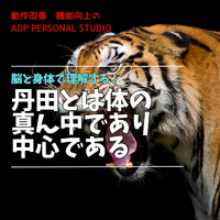 画像868