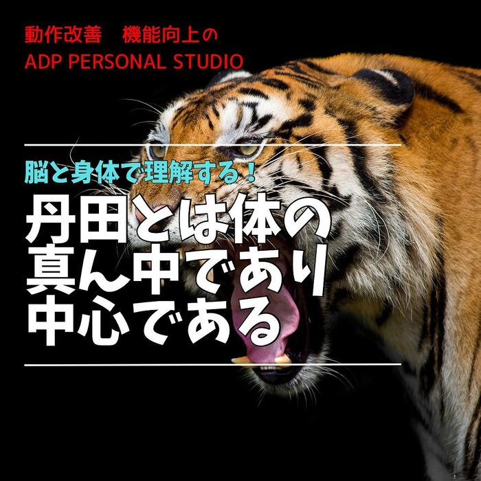 画像868