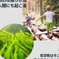 画像907