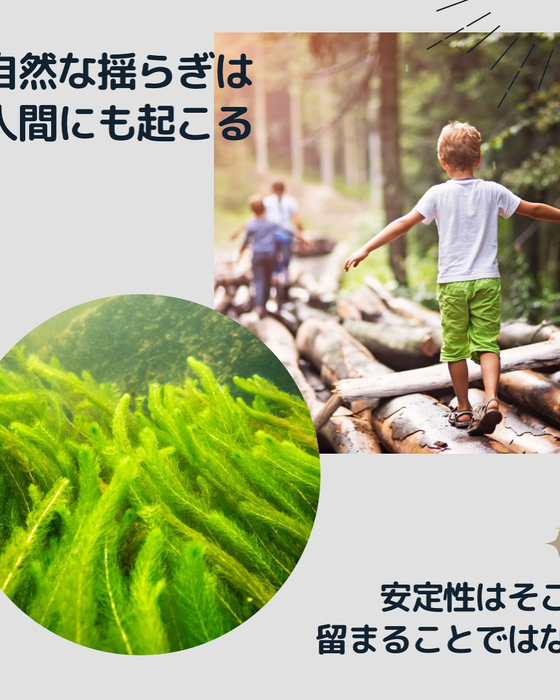 画像907