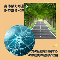 画像944