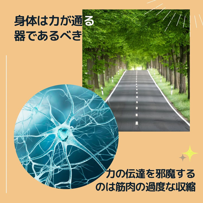 画像944